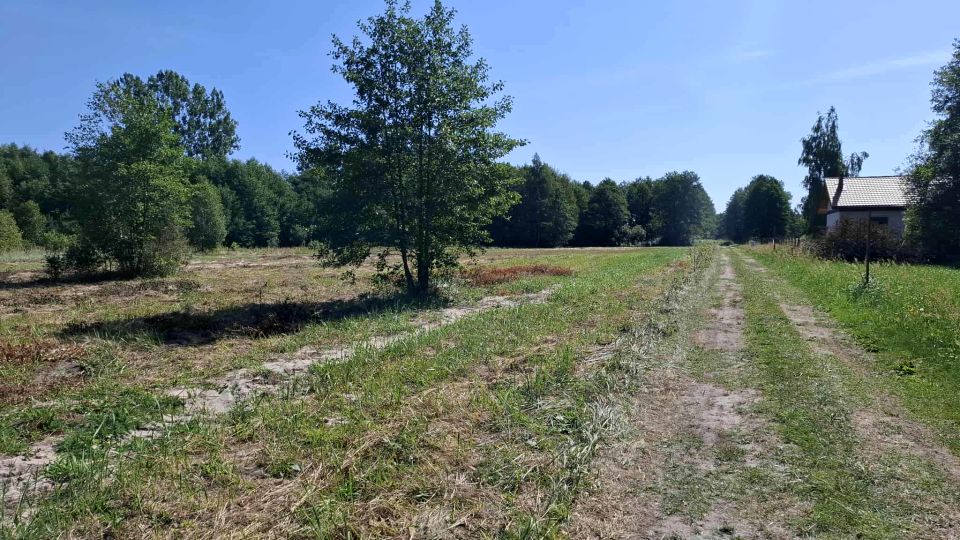 Działka budowlana Radziwiłłów