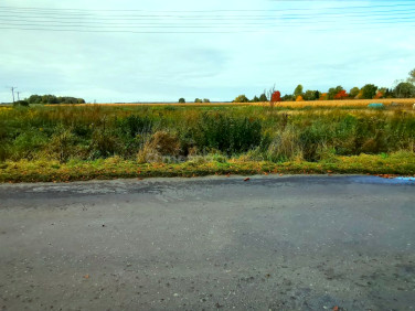 Działka budowlana Kowalowice