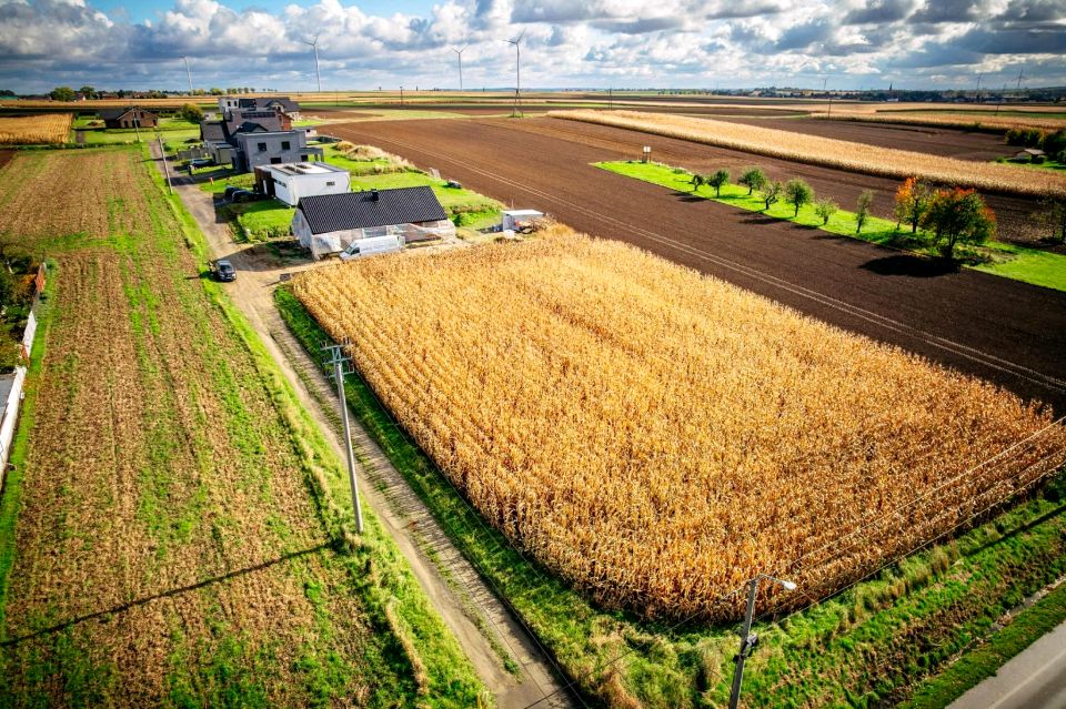 Działka Pietrowice Wielkie