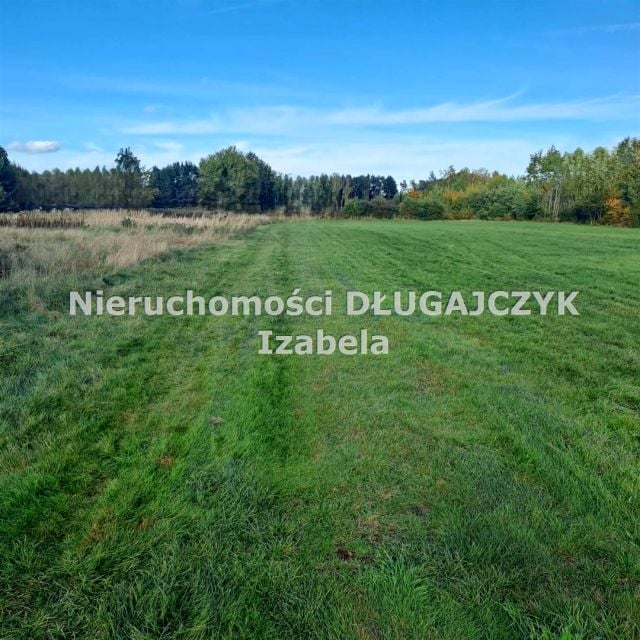 Zdjęcie 3