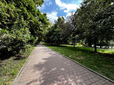 Lokal Kraków