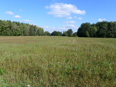 Pusta działka Ignacew Rozlazły