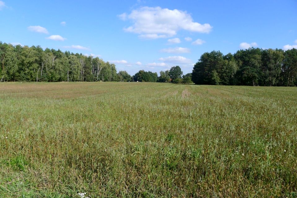 Pusta działka Ignacew Rozlazły