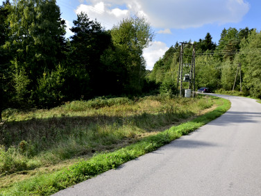 Działka rolno-leśna Kobylec