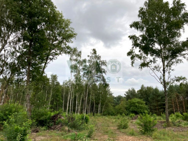 Działka budowlana Radzyny sprzedam