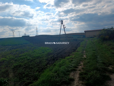 Działka budowlana Proszowice