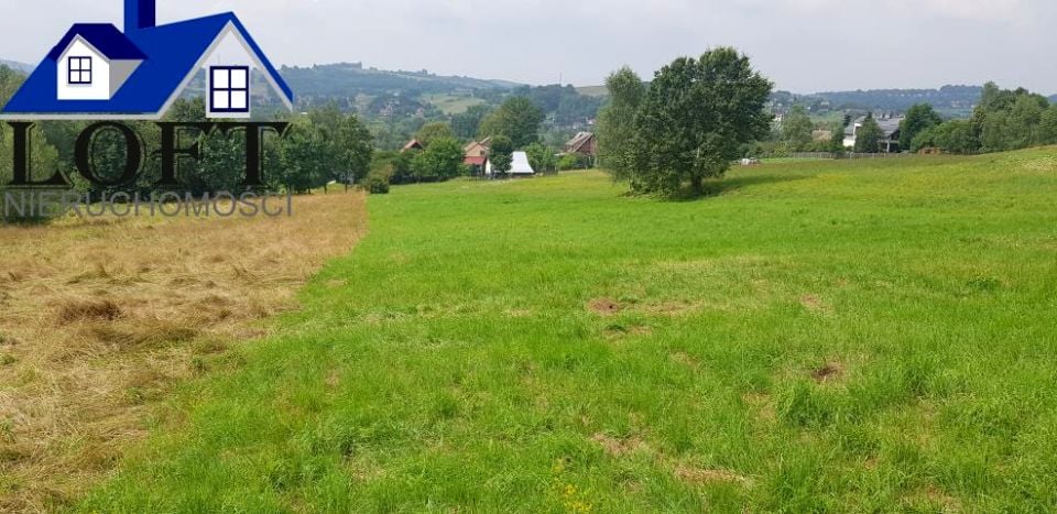 Zdjęcie 2