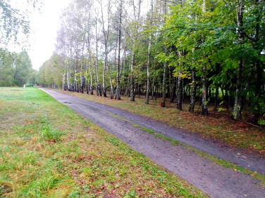 Działka budowlano-rolna Golce