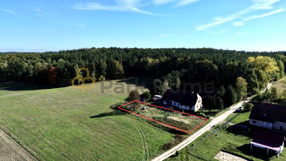 Działka przy lesie