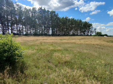 Działka rolna Komarowo