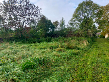 Działka usługowa Nieborów