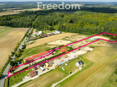 Działka przy lesie