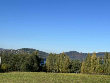 Dom Dąbrówka