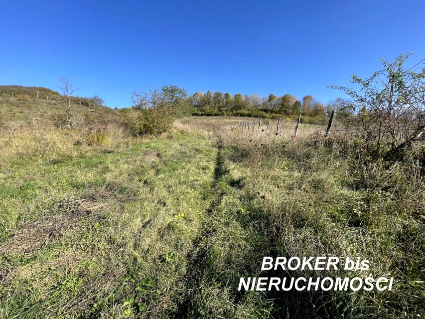 Działka siedliskowa Górki