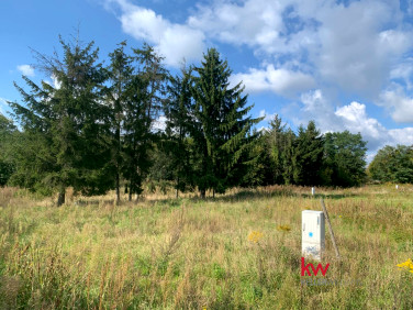 Działka inna Koziegłowy
