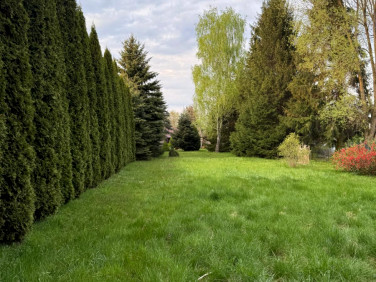 Działka budowlana Prace Małe