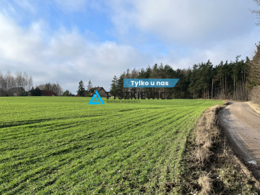 Działka inna Wielki Klincz