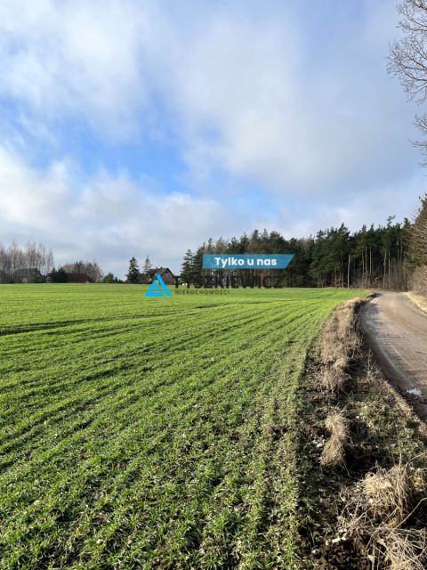 Działka inna Wielki Klincz