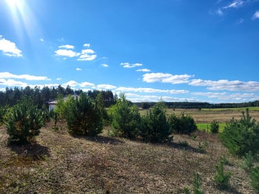 Działka budowlana Mściszewice