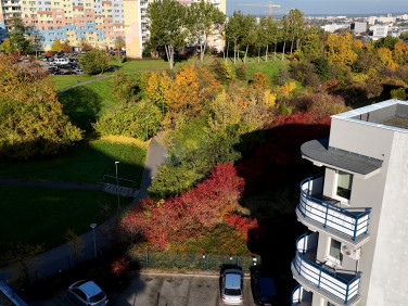 Mieszkanie Bydgoszcz