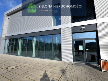 Lokal Zielona Góra