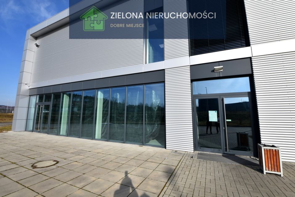 Lokal Zielona Góra