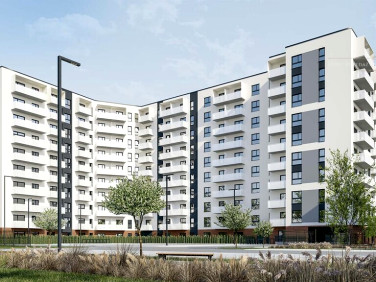 Mieszkanie Łódź sprzedaż