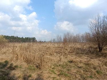 Działka siedliskowa Marianowo
