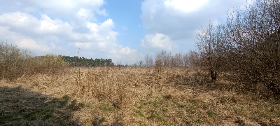 Działka siedliskowa Marianowo