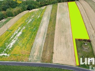 Działka budowlano-rolna Lesieniec sprzedam