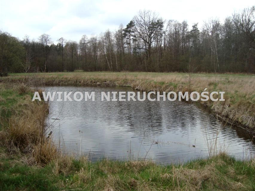 Działka siedliskowa Pieńki Zarębskie