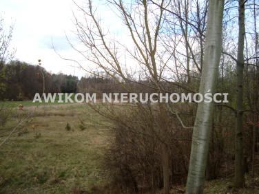 Pusta działka Pieńki Zarębskie