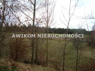 Działka Pieńki Zarębskie