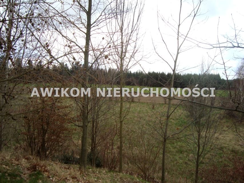 Działka Pieńki Zarębskie
