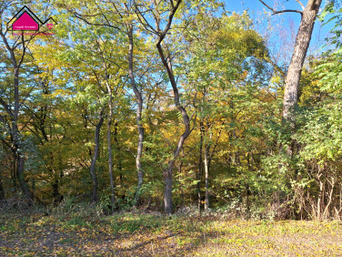 Działka rolna Żółwieniec sprzedam