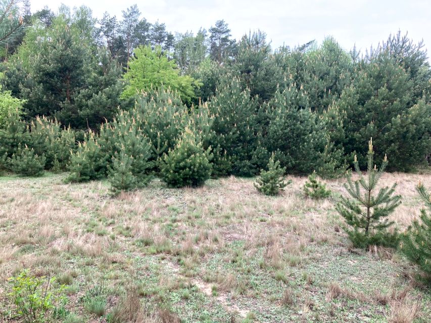 Działka budowlana Pawłowo Skockie