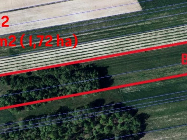 Działka budowlana Kozioł