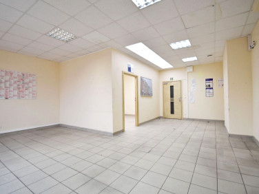 Lokal Zielona Góra
