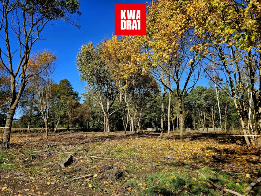 Działka usługowa Wola Pękoszewska