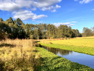 Działka siedliskowa Zielona Huta
