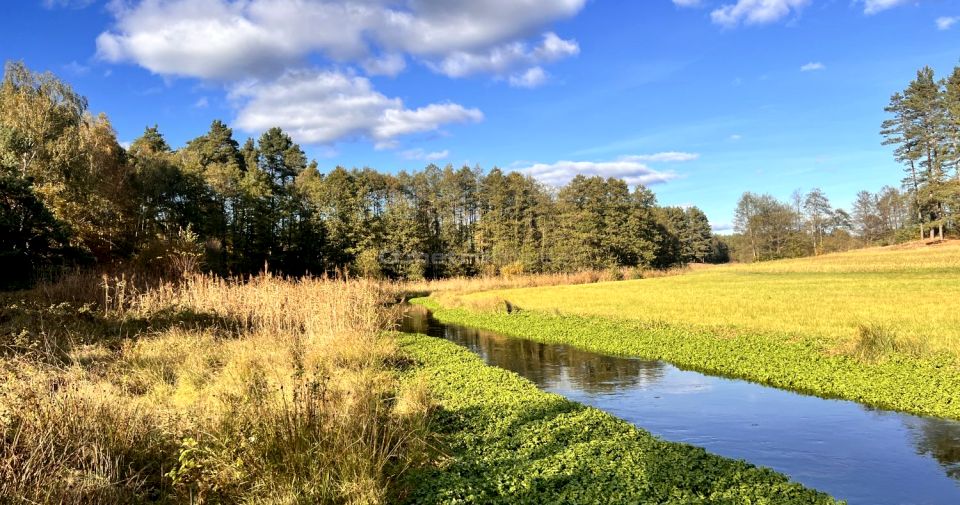 Działka siedliskowa Zielona Huta