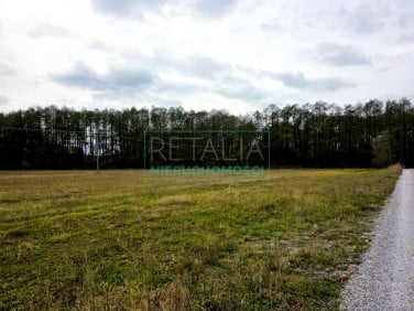 Działka budowlana Kozerki