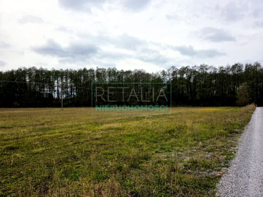 Działka budowlana Kozerki