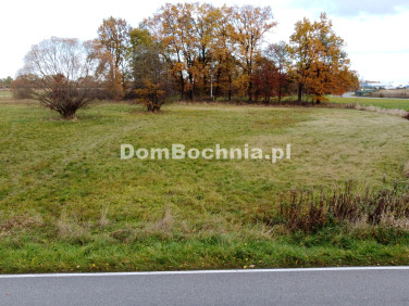 Działka budowlana Borek