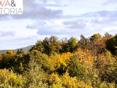 Działka Niedźwiedzica