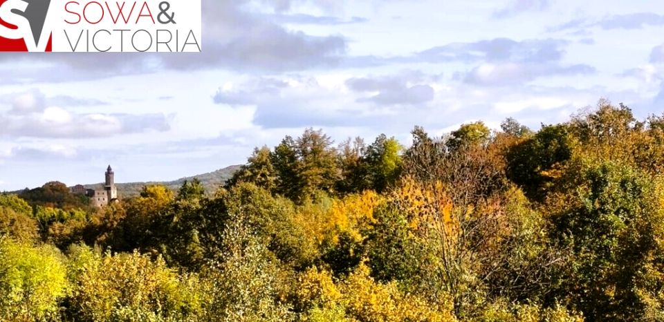 Działka Niedźwiedzica