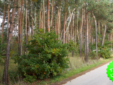 Działka rolna Kopana