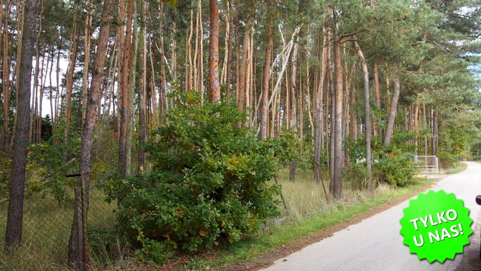 Działka rolna Kopana