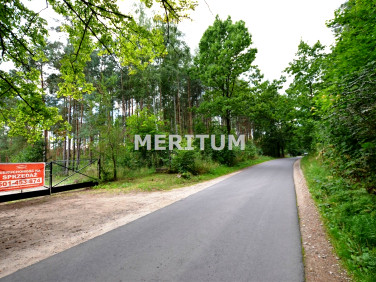 Działka siedliskowa Gzin