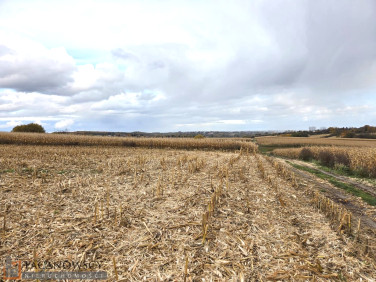 Działka rolna Owczary